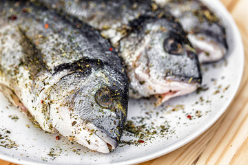 Fish on white plate background