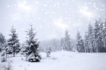 Fantastic winter landscape