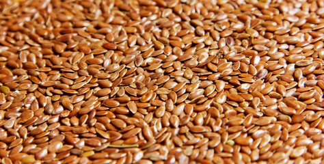 flax seeds piled in a heap