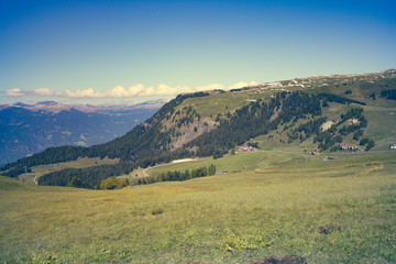 Fototapeta premium Dolomiti Alpe di Siusi