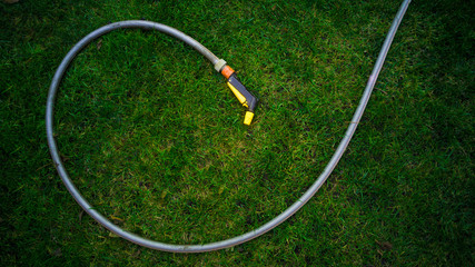 Garden hose lying on green grass at garden