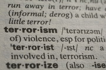 Definition of the world terrorism