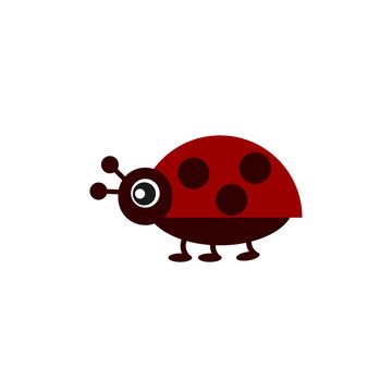 ladybug color flat icon