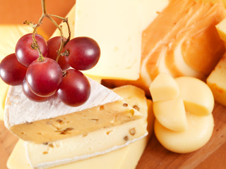 Cheese still life