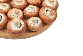 Champignon (True mushroom) on wooden board