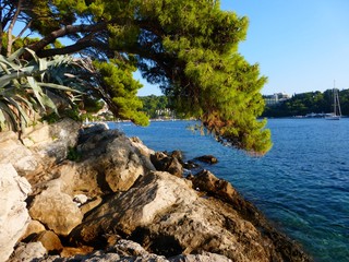 Côtes de Cavtat (Croatie)