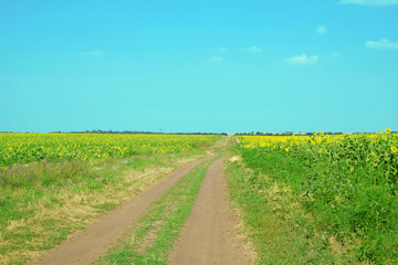 Countryside roads