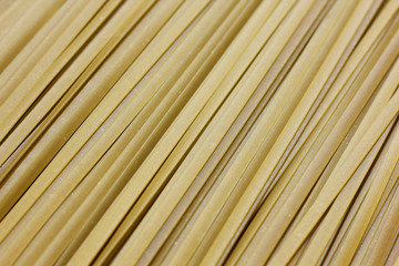 Close up of raw pasta, Green Spanich fettuccine