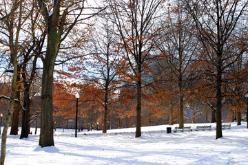 Fototapete bei efototapeten.de bestellen   