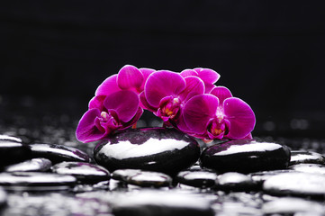 Still life with pink orchid with therapy stones 