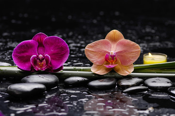 Fototapeta na wymiar Set of two orchid and candle,leaf with therapy stones 
