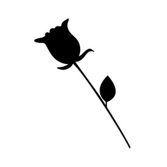 roses silhouettes isolated illustration