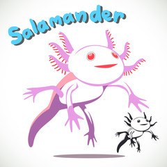 salamander