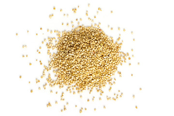 Quinoa seeds from above