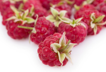 Fresh raspberry
