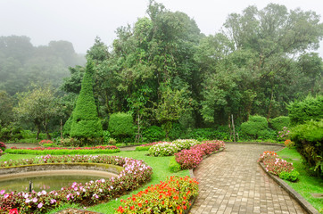 colorful flower in beautiful garden at Doi Inthanon national park,Thailand