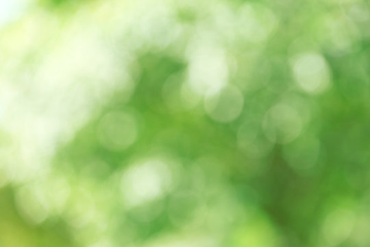 Abstract Green Nature Background