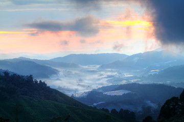 Cameron Highland, Malaysia..
