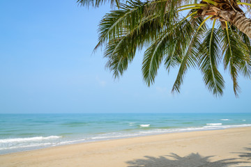Naklejka na ściany i meble Tropical beach with coconut palm at summer time