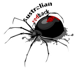 Australian redback spider vector on a white background