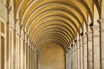 Building Detail Lucca