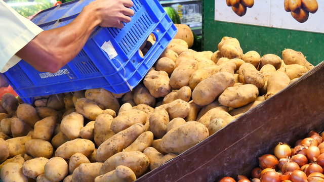 sorting potatoes in the supermarket workers