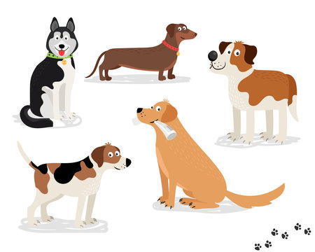 Happy dog vector characters on white background