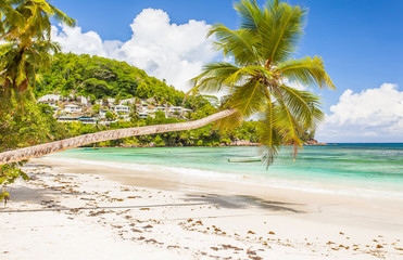 plage des Seychelles à Mahé