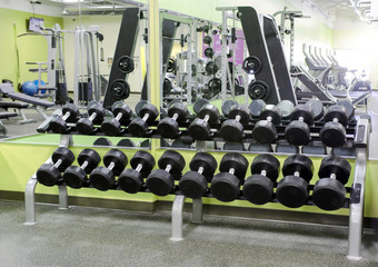 Dumbbell Rack in Fitness Center