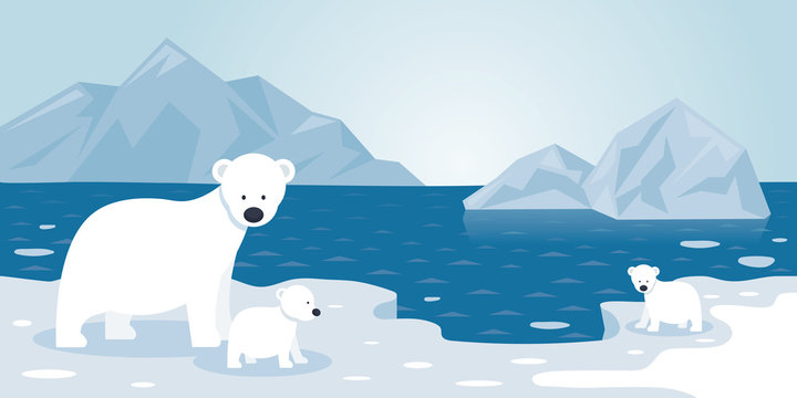 Arctic Polar Bear Iceberg Scene, Mother and baby, Winter, Nature Travel and Wildlife