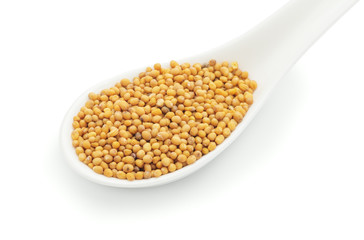 Mustard seeds in a white ceramic spoon