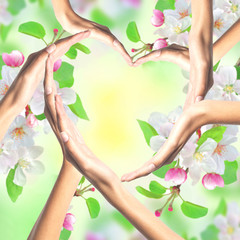 Human hands in heart shape on nature blossom background