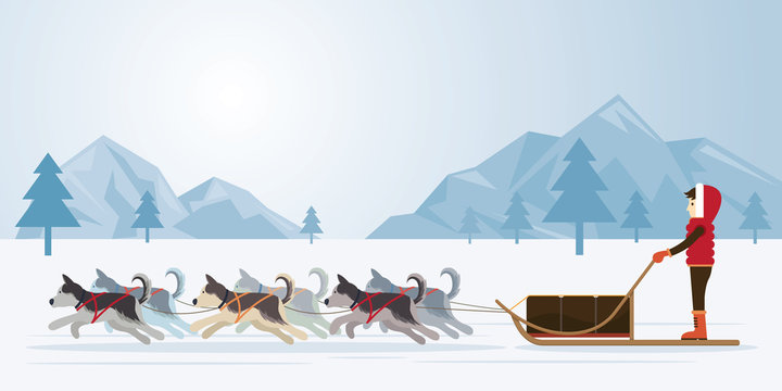 People with Arctic Dogs Sledding, Panorama Background, Winter, Nature Travel and Adventure