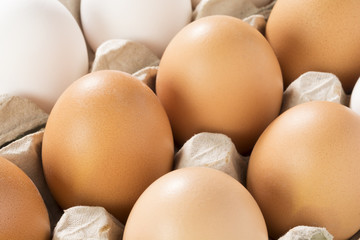 Fresh eggs in a carton