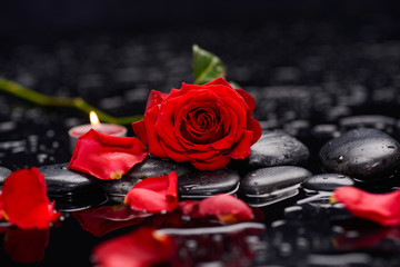 Still life with Red rose ,candle and wet stones