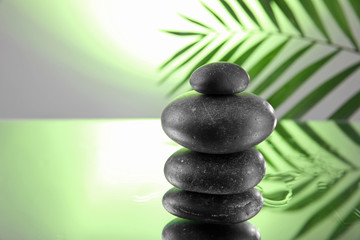 Spa stones and green palm branch on light green background