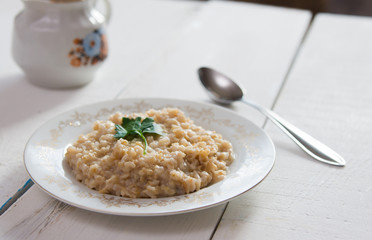 oatmeal on a white plate
