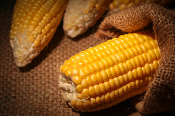 Fresh sweet corn