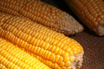 Fresh sweet corn