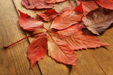 Red autumn leaves on wooden table, close-up