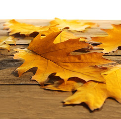 Yellow and brown autumn leaves on wooden table, isolated on white