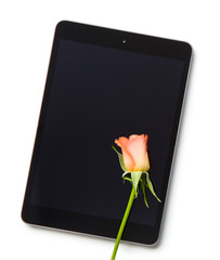 rose flower and computer tablet