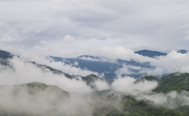 Fototapeta na wymiar fog and cloud in the mountain