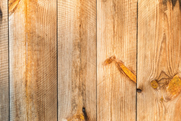 The natural wood texture. Background.