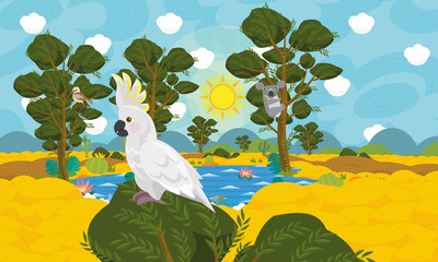 Cartoon australian animal scene - cockatoo - illustration for the children © honeyflavour