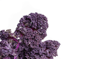 Red Kale Leaves © esben468635
