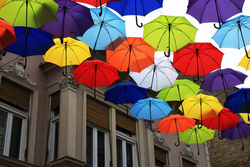 Many of the larger size hanging umbrellas.
