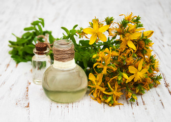 Tutsan flowers  and natural oil