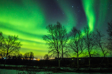 Bright Northern lights in starry sky over trees
