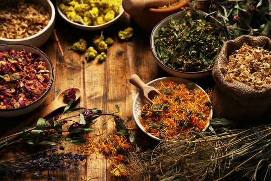Fototapeta Assortment of dry medicinal herbs in bowls on wooden background top view